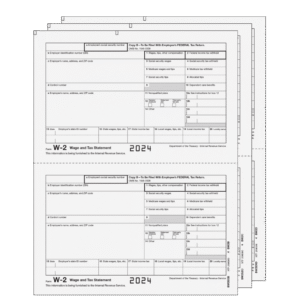 Traditional W-2 Form 3-part E-file Set (Preprinted)